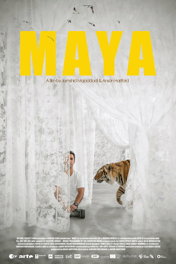 IR - Maya (2020)