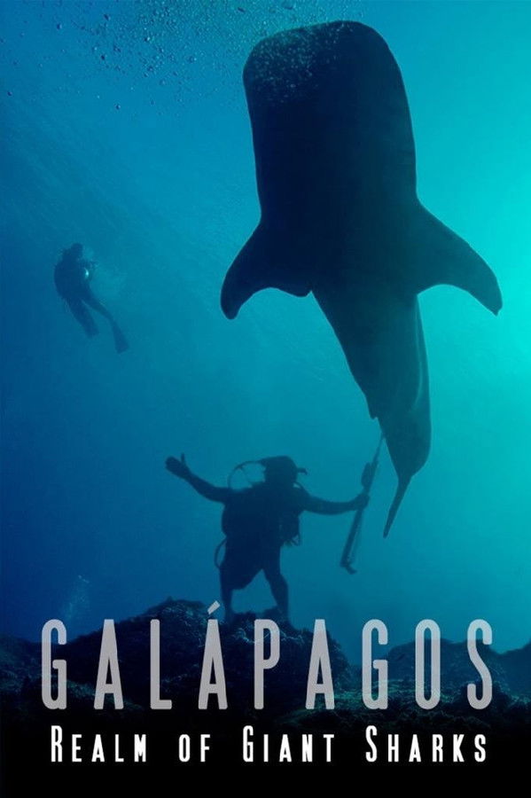 EN - Galapagos Realm Of Giant Sharks  (2012)