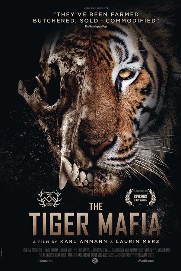 EN - The Tiger Mafia (2016)