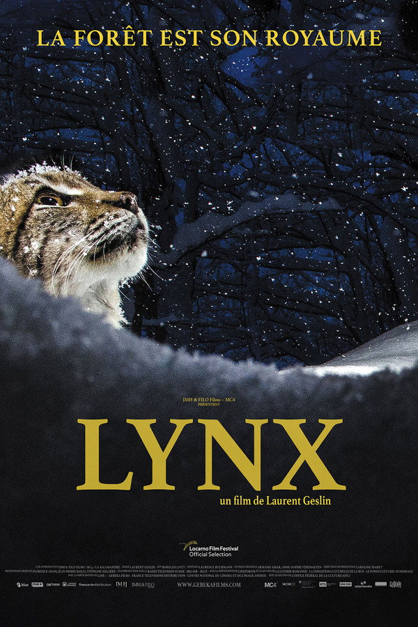 EN - Lynx (2022)