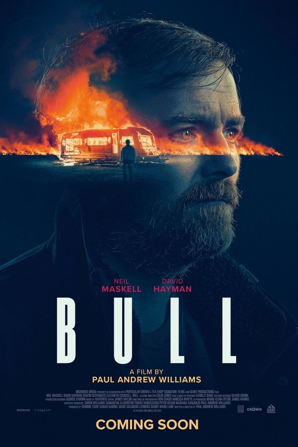 IR - Bull بول گاو وحشی