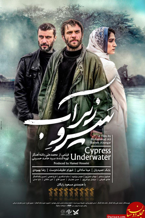 Cypress Under Water سروزیرآب